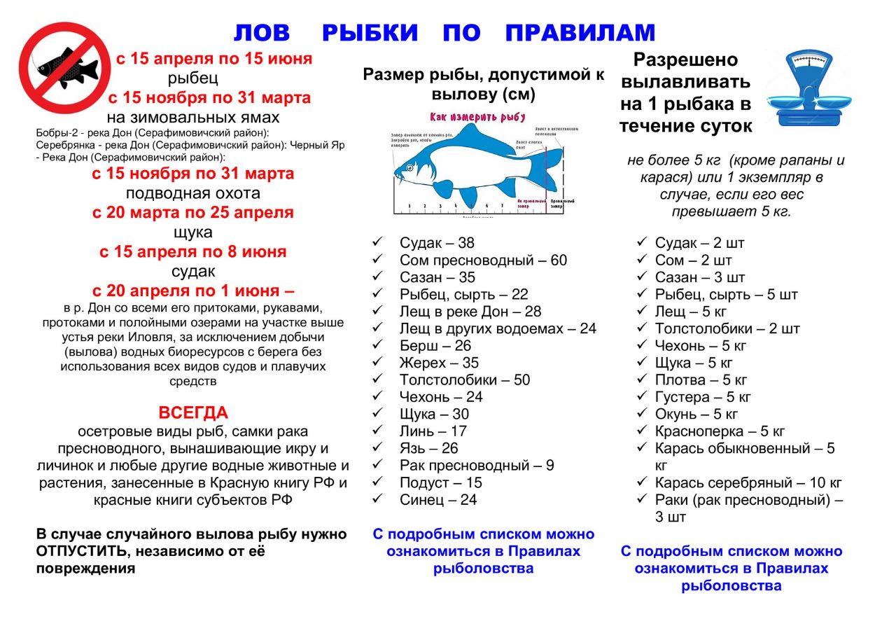 Разрешенный лов рыбы. Нормы вылова рыбы в Волгоградской области в 2021 году. Памятка для рыболовов любителей. Размеры рыб для вылова. Законодательство о рыболовстве.